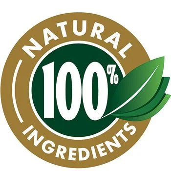 ProvaDent ProvaDent all natural vegan ingredients