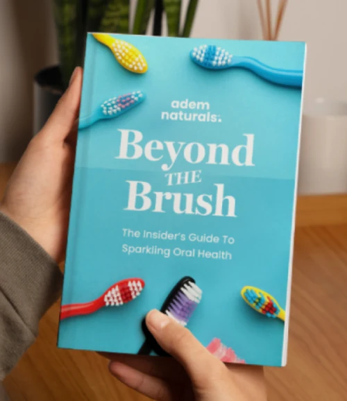 The Beyond the Brush The Beyond the Brush - Free Bonus with ProvaDent